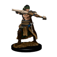 Pathfinder Battles Premium Painted Figure Half-Elf Ranger Male