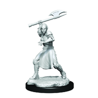 Critical Role Unpainted Miniatures Half-Elf Echo Knight and Echo Female