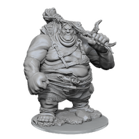 D&D Nolzurs Marvelous Unpainted Miniatures Hill Giant