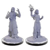 D&D Nolzur's Marvelous Miniatures: Elf Wizards