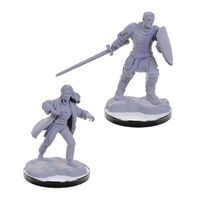 D&D Nolzur's Marvelous Miniatures: Reborn Paladin & Reborn Warlock