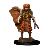 D&D Premium Painted Figures Human Druid Male