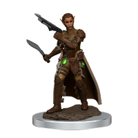 D&D Premium Painted Figures Shifter Rogue Female