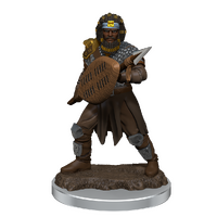 D&D Premium Painted Figures Human Fighter Male