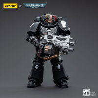 Warhammer Collectibles: 1/18 Scale Iron Hands Intercessors Brother Ignar