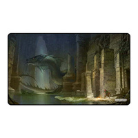 GamerMats: Dragon Ruins - Playmat