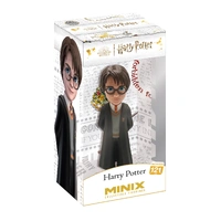 MINIX Harry Potter Harry Potter 121