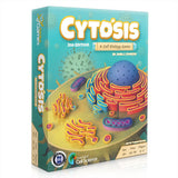 Cytosis A Cell Biology Game