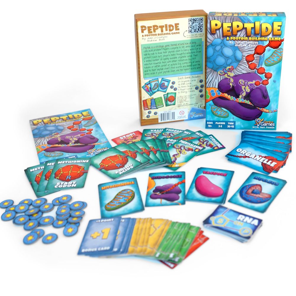 Peptide A Protein Building Game