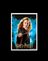 Sleeves - Dragon Shield - Box 100 - MATTE Art - WizardingWorld Hermoine Granger