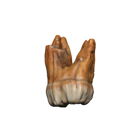 Dungeons & Dragons Teeth of Dahlver-Nar Bite-Sized Artifact
