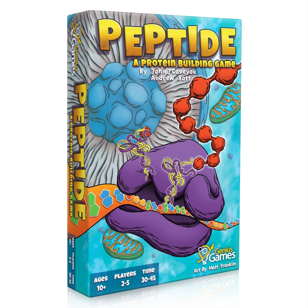 Peptide A Protein Building Game