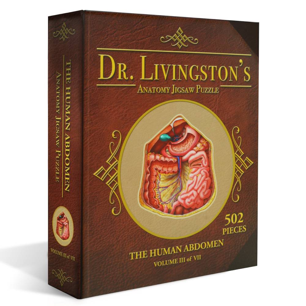 Dr. Livingston's Anatomy Jigsaw Puzzle: The Human Abdomen